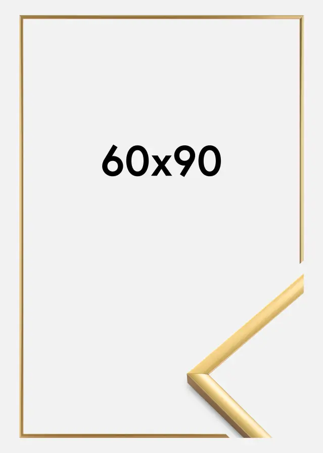 Kehys New Lifestyle Akryylilasi Shiny Gold 60x90 cm