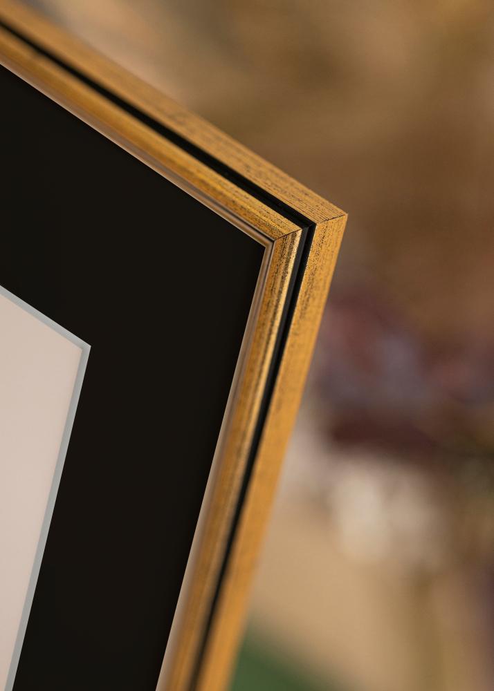 Kehys Horndal Kulta 35x50 cm - Paspatuuri Musta 24x30 cm