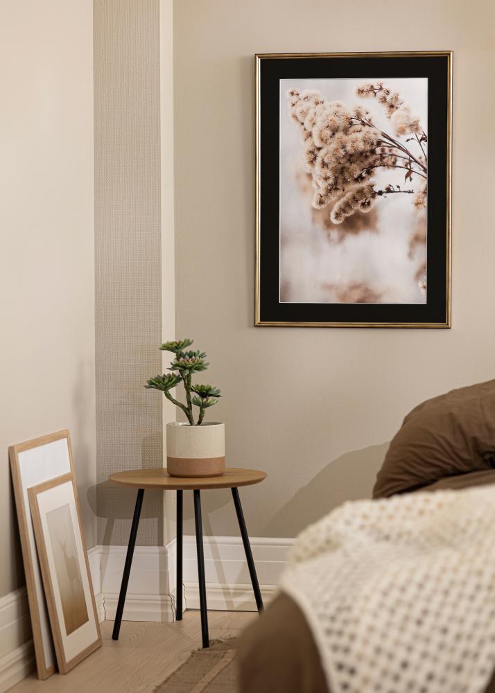 Kehys Horndal Kulta 35x50 cm - Paspatuuri Musta 24x30 cm