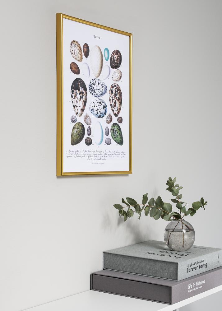 Kehys Decoline Akryylilasi Kullanvärinen 60x80 cm