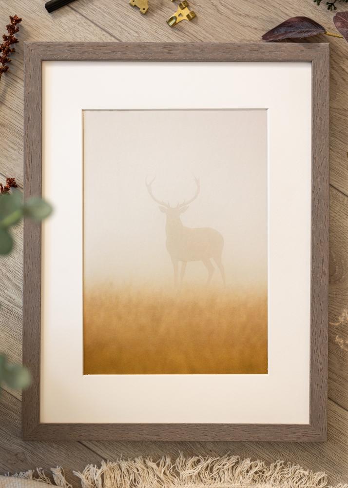 Kehys Hermes Akryylilasi Harmaa 60x80 cm