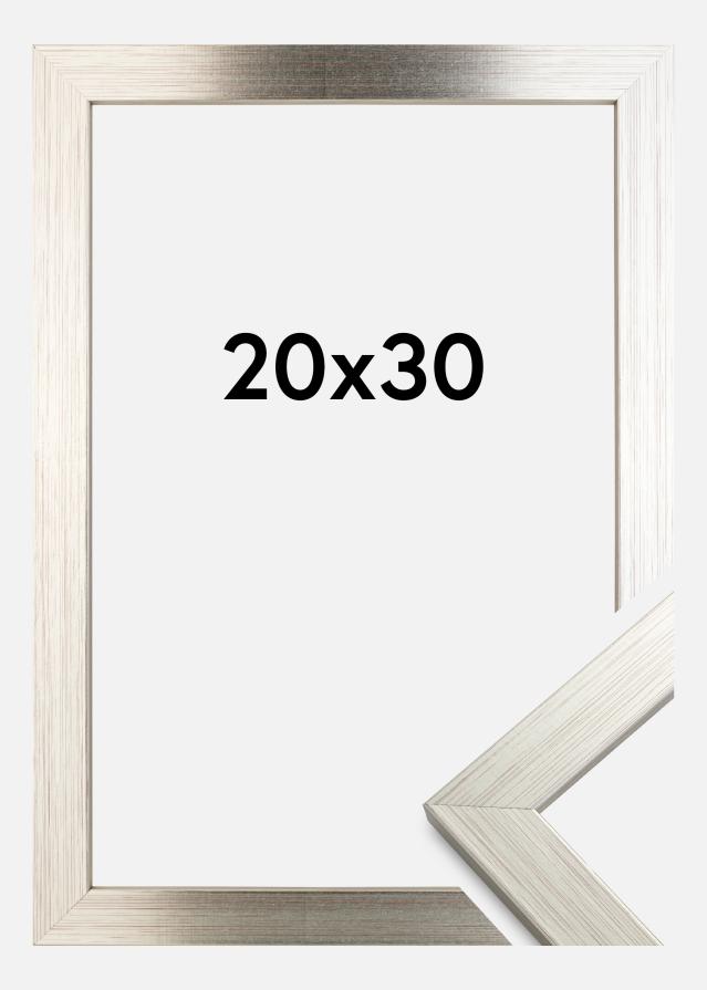 Kehys Silver Wood Akryylilasi 20x30 cm