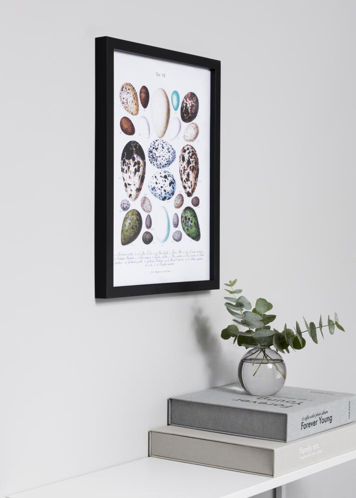 Kehys Exklusiv Musta 50x50 cm