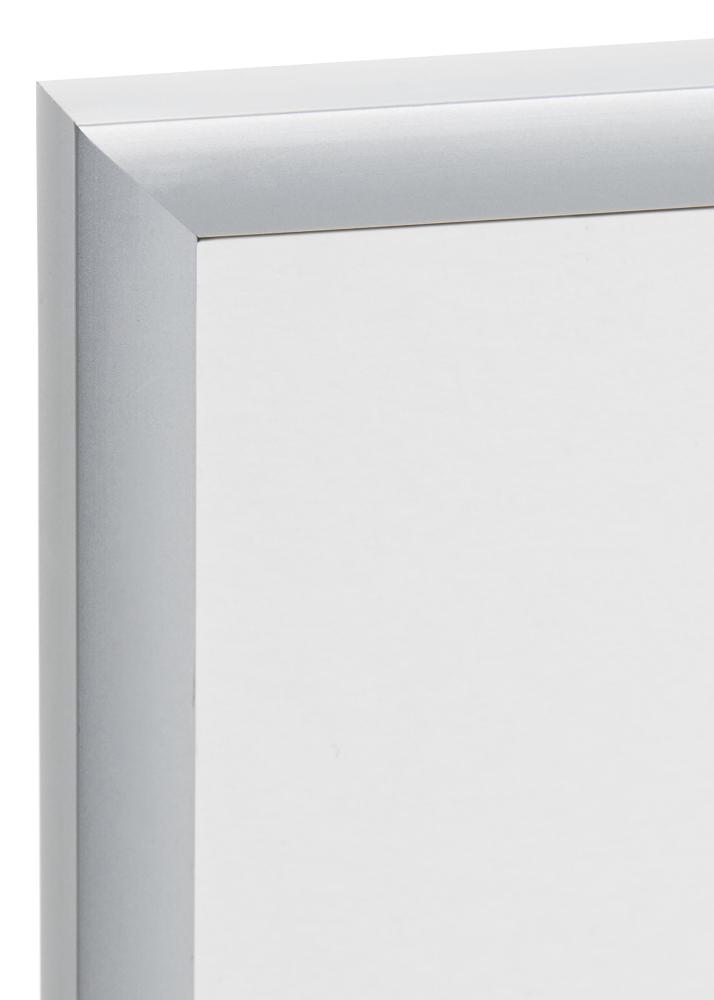 Kehys Expo Matta heijastamaton lasi Hopeanvärinen 20x25 cm