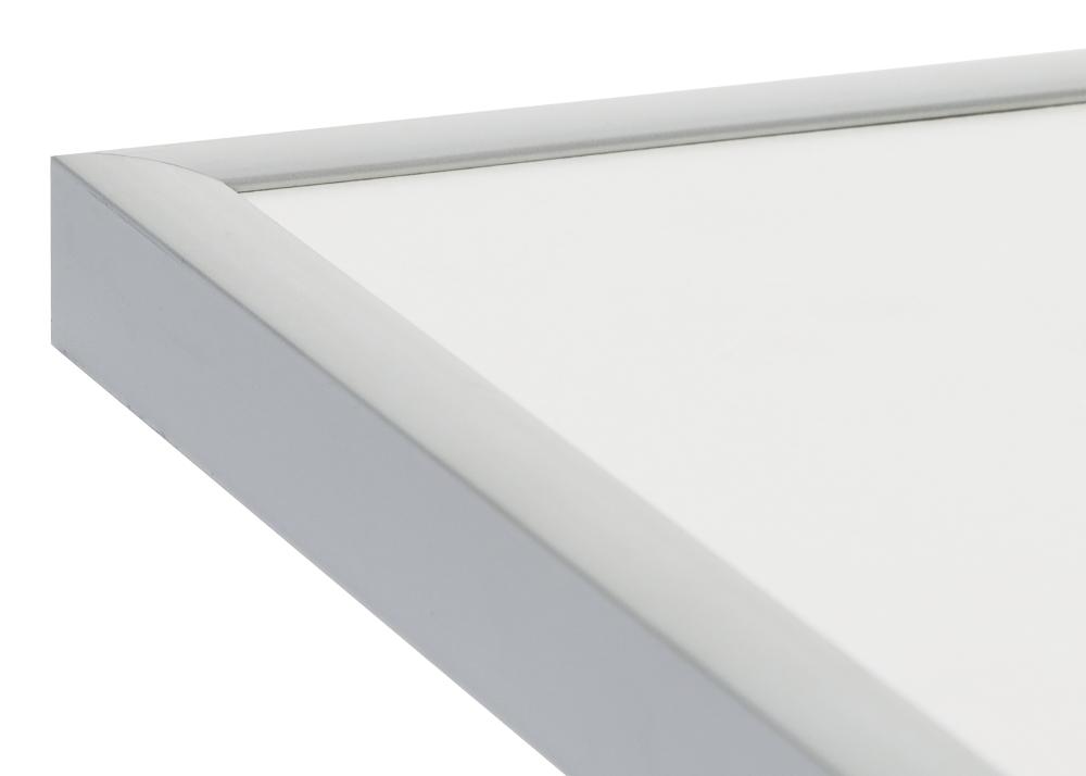 Kehys Expo Matta heijastamaton lasi Hopeanvärinen 20x25 cm