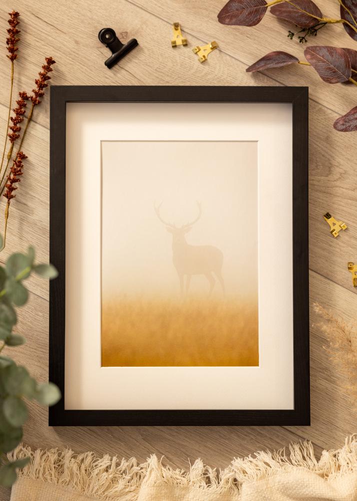 BGA Laatikkokehys Akryylilasi Musta 29,7x42 cm (A3)