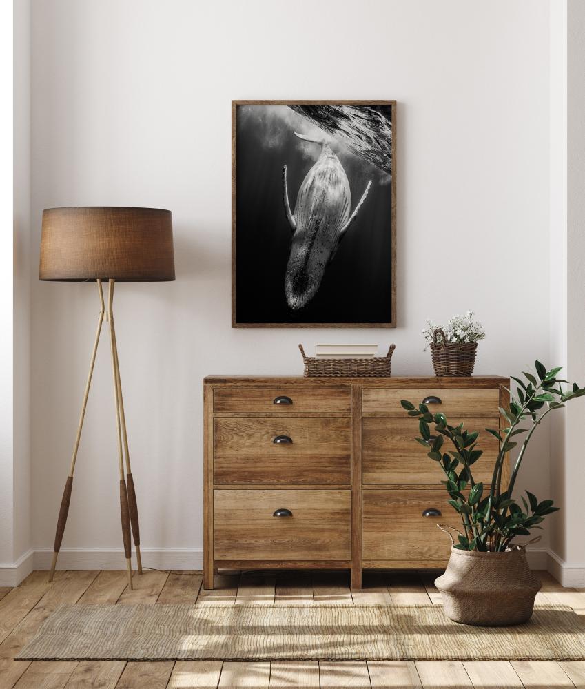 Black A Whale Juliste