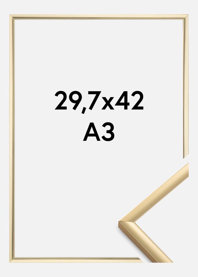 Kehys New Lifestyle Kulta 29,7x42 cm (A3)