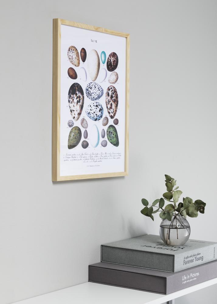 Kehys Hoei Mänty 15x21 cm (A5)