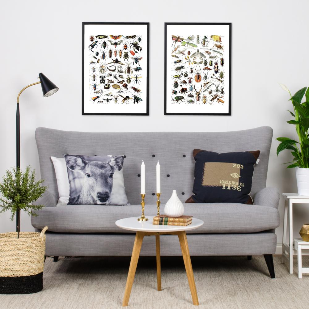 Hyönteiset II Juliste