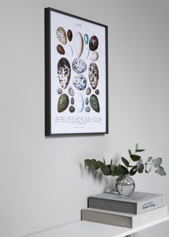 Kehys Nielsen Premium Alpha Matta Platina