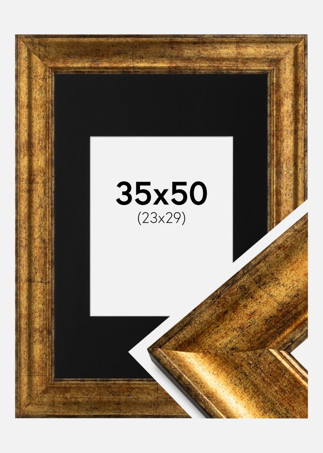 Kehys Saltsjöbaden Kulta 35x50 cm - Passepartout Musta 24x30 cm