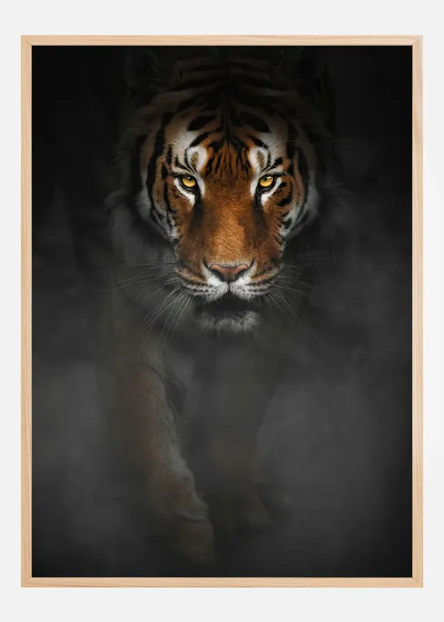Intense Tiger Juliste