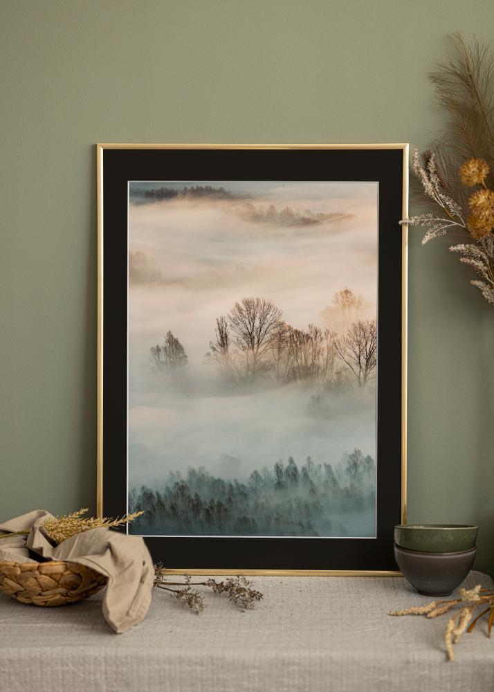 Kehys New Lifestyle Kulta 30x40 cm - Paspatuuri Musta 21x29,7 cm (A4)