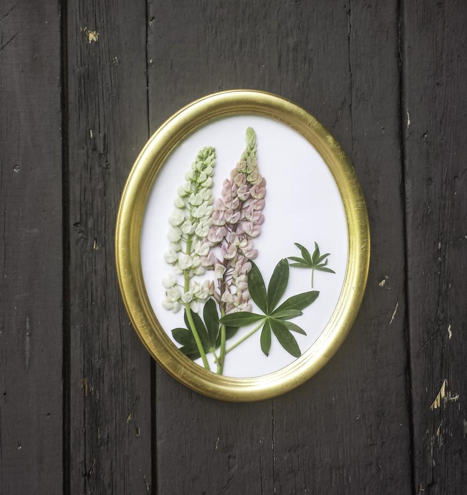 Molly Ovaali Kullanvärinen 24x30 cm