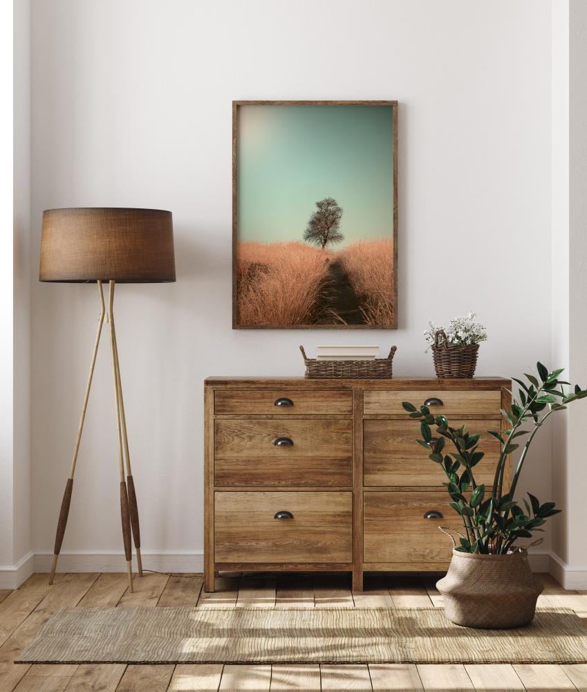 Grass And Path Juliste