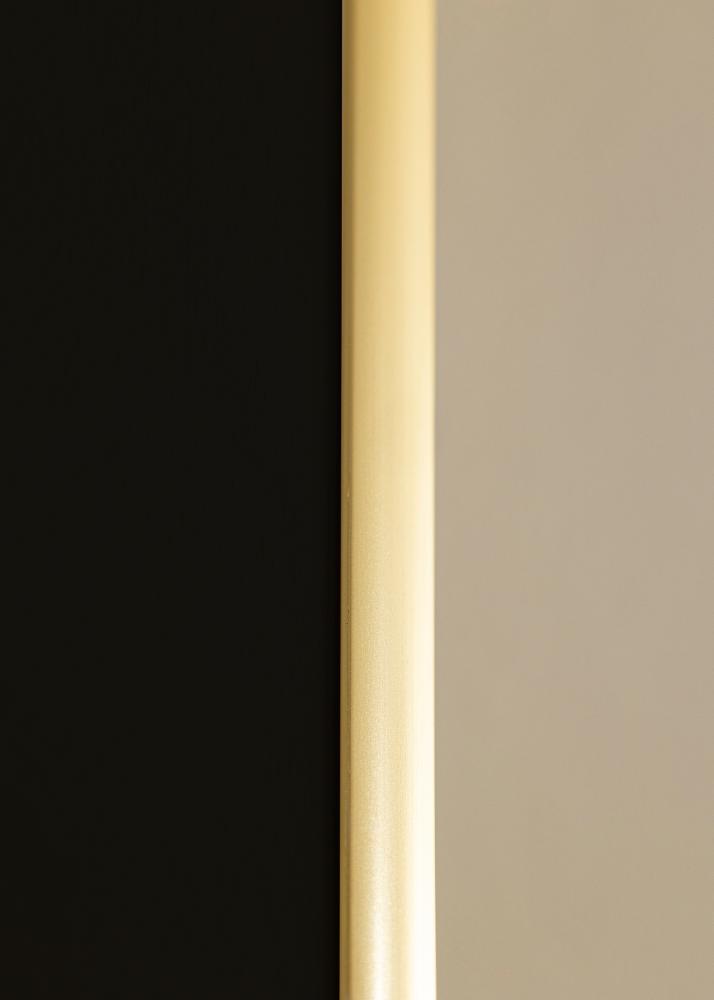 Kehys New Lifestyle Kulta 30x40 cm - Paspatuuri Musta 21x29,7 cm (A4)