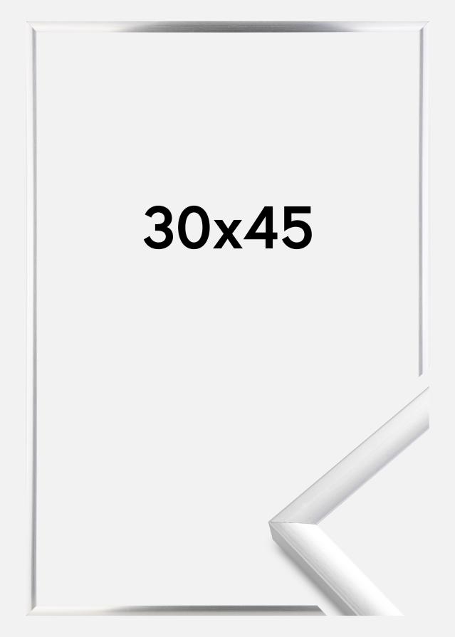 Kehys New Lifestyle Hopeanvärinen 30x45 cm