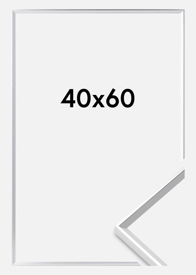 Kehys Desire Akryylilasi Hopeanvärinen 40x60 cm