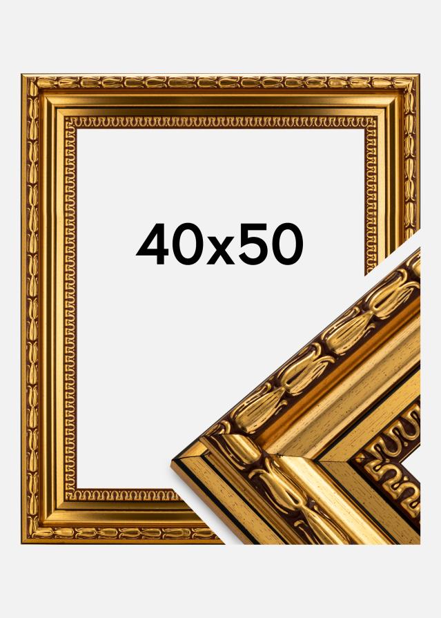 Kehys Birka Premium Kullanvärinen 40x50 cm