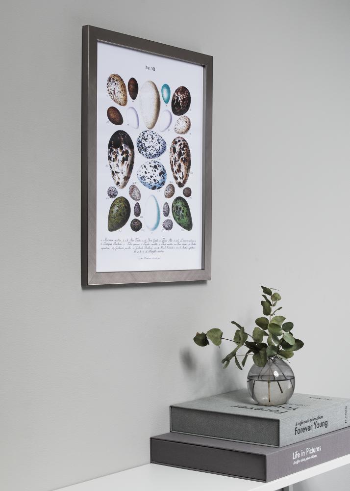 Kehys Uppsala Akryylilasi Hopeanvärinen 50x60 cm