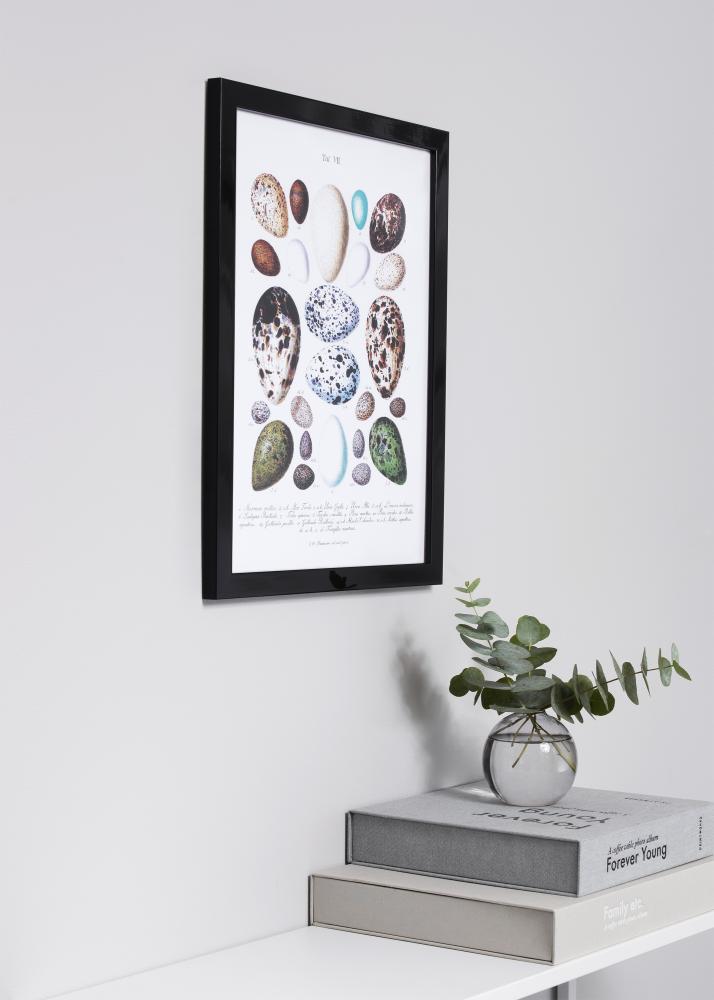 Kehys Uppsala Akryylilasi Musta Kiiltävä 21x29,7 cm (A4)