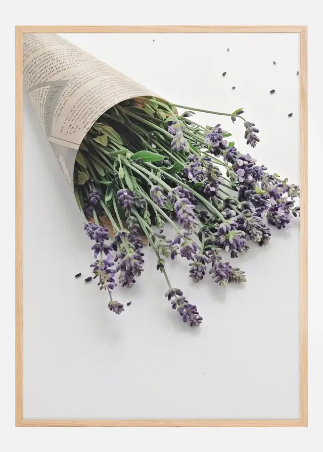 Lavender Juliste