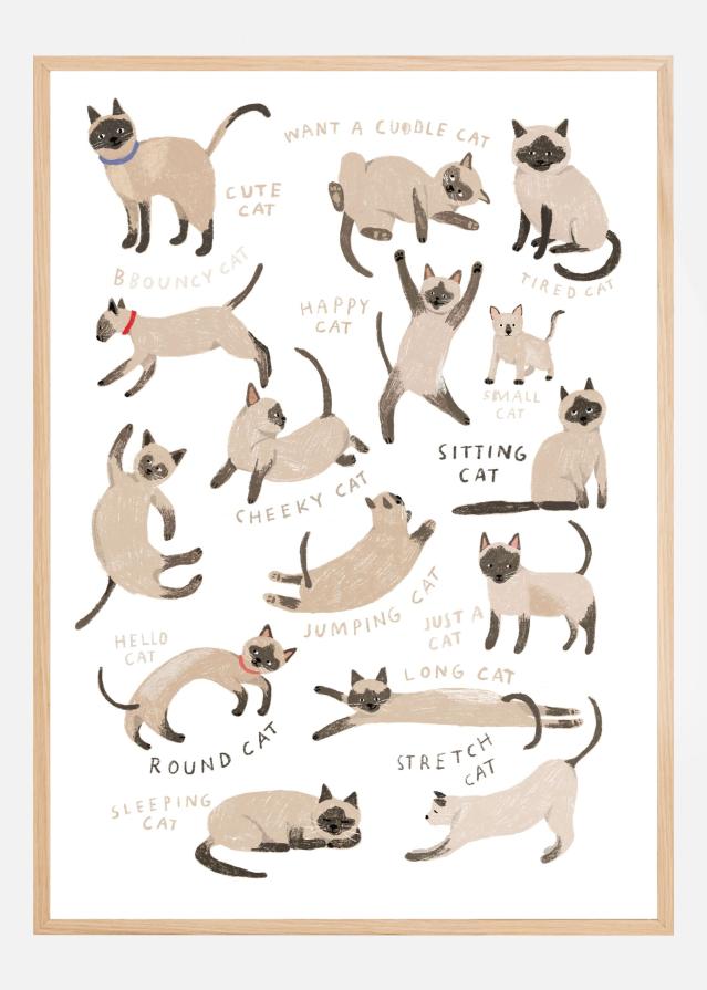 Siamese Cat Print Juliste