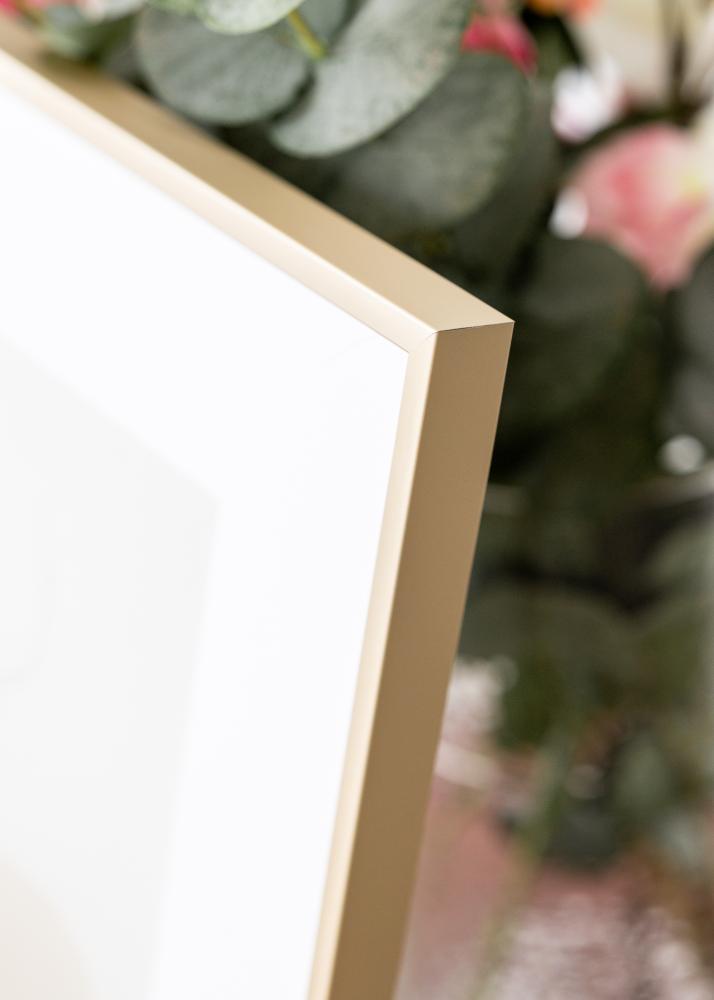 Alumiinikehys Akryylilasi Messinki 42x59,4 cm (A2)