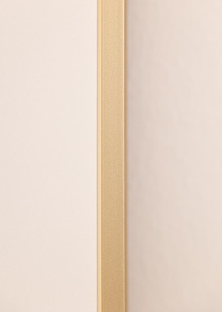 Alumiinikehys Akryylilasi Messinki 42x59,4 cm (A2)