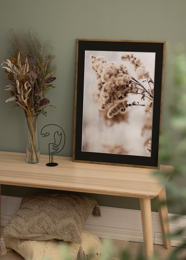 Kehys Galant Kulta 40x50 cm - Paspatuuri Musta 12x16 tuumaa