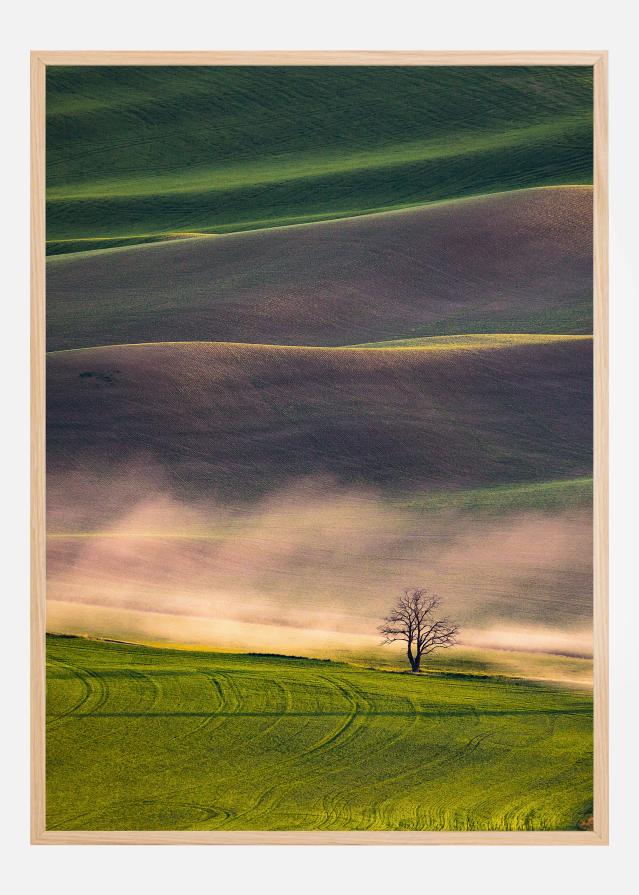 Sunset in Palouse Juliste
