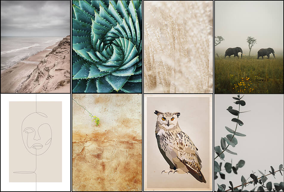 Luonnollisen väriset julisteet - luonnonläheinen sisustus