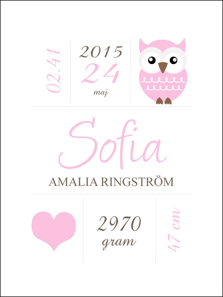 Owl Birth Poster Pink